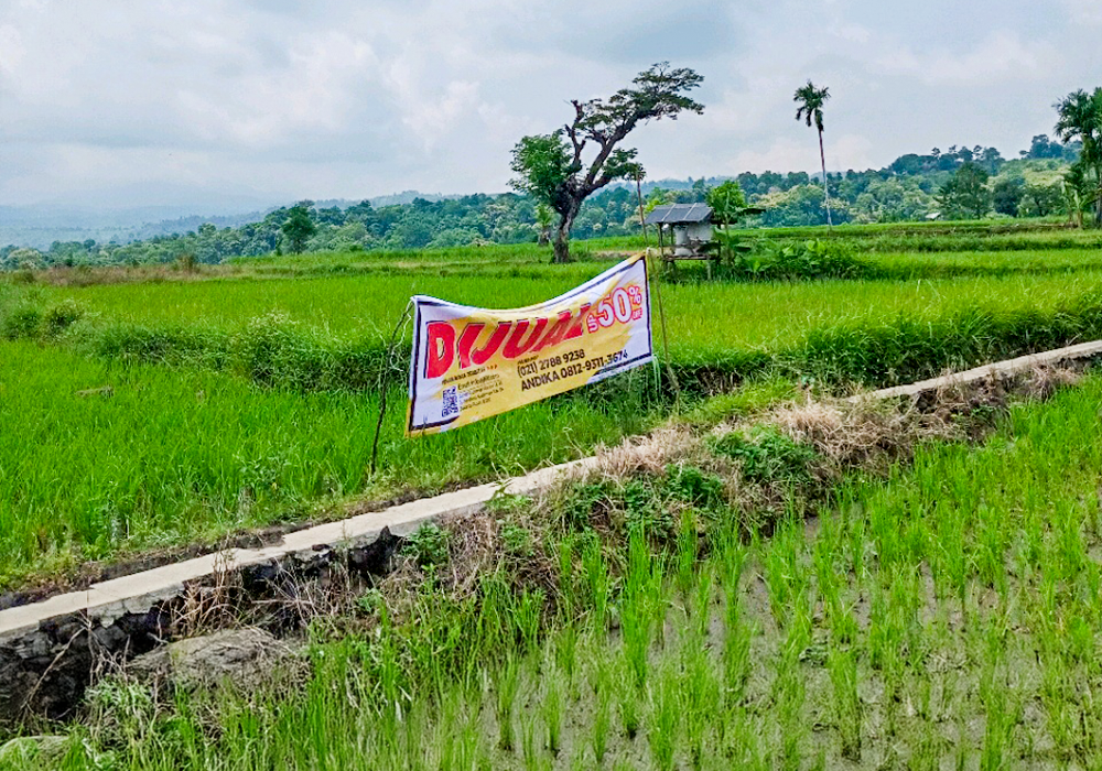 TANAH DI KAB. SITUBONDO - WOFF773-1 - foto utama